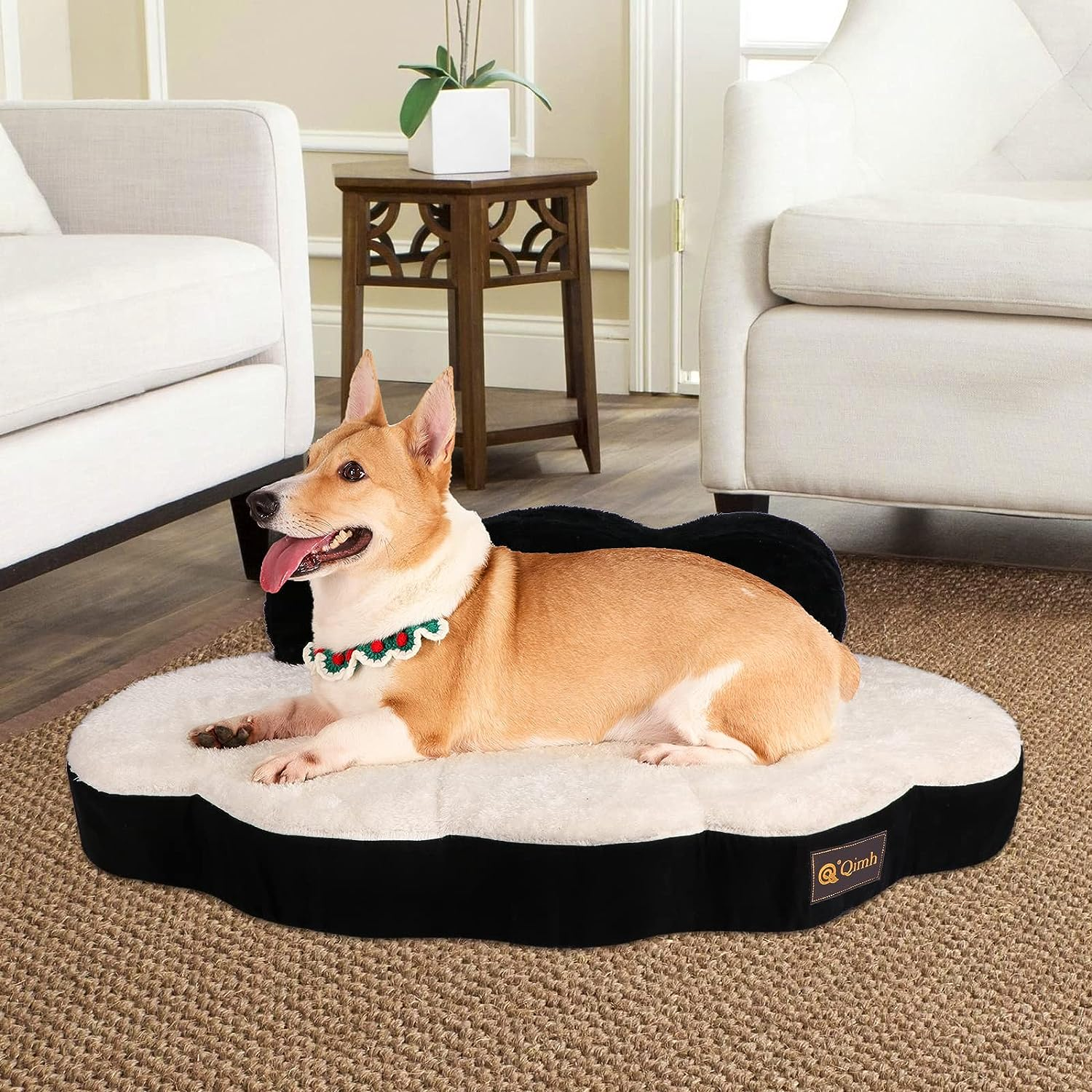 Beds for Dogs and Cats: Rest and Relaxation for Your Pets