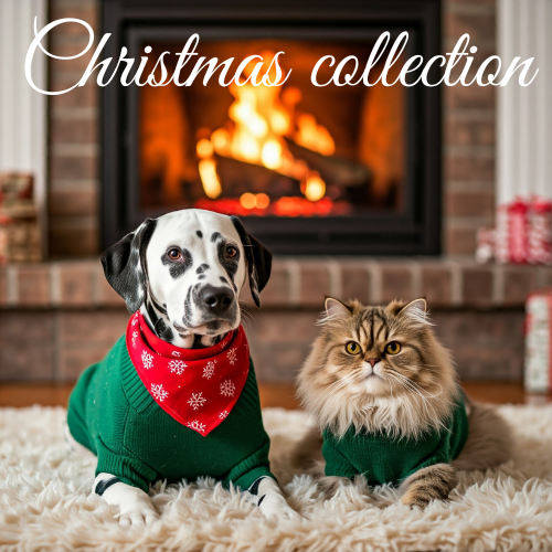 Christmas collection: style and comfort for pet lovers